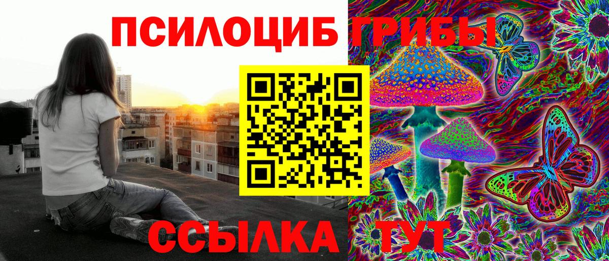 Самара  Галлюциногенные грибы прущие грибы  купить закладку  Вход с VPN  Псилоцибиновые грибы Cubensis 